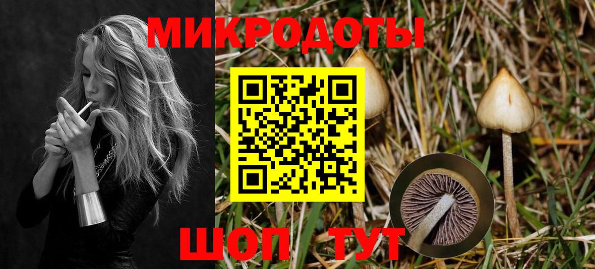 Галлюциногенные грибы ЛСД  Вход с VPN  Ртищево  закладка  Галлюциногенные грибы MAGIC MUSHROOMS 