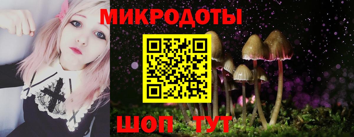 Галлюциногенные грибы Psilocybine cubensis Ртищево